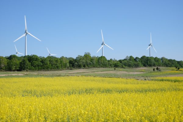 風力発電とは？ネオ・コーポレーション電力コラム